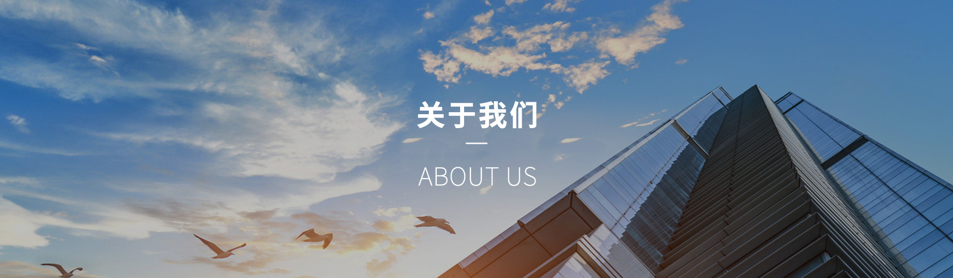 安全驾培_成都云驾服科技有限公司